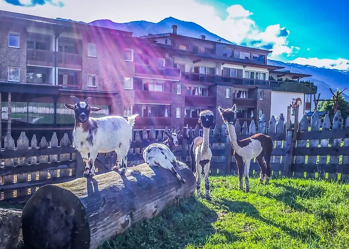 מלון Alpina Zillertal . Family Lifestyle 4*