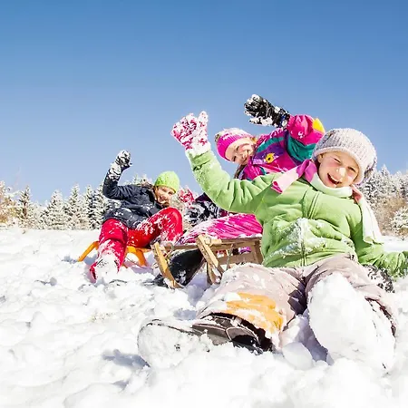 Alpina Zillertal . Family Lifestyle 4* Fügen